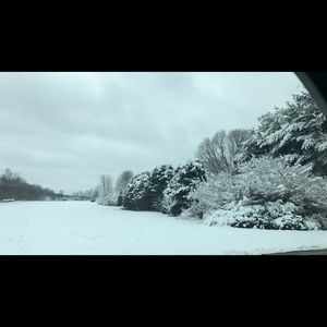 Meet your Posher, Nickie